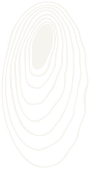 Peeleh